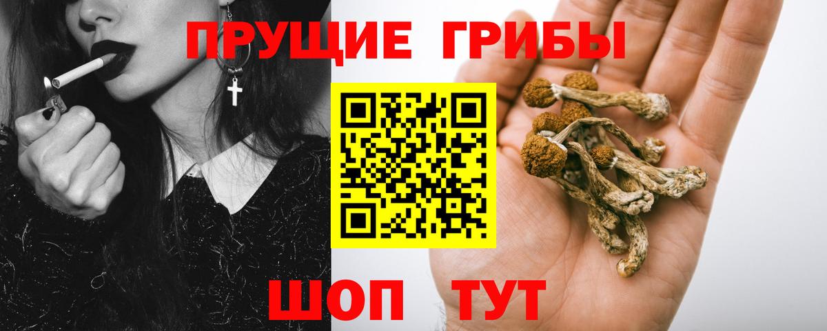 Керчь  Галлюциногенные грибы ЛСД  Вход с VPN 